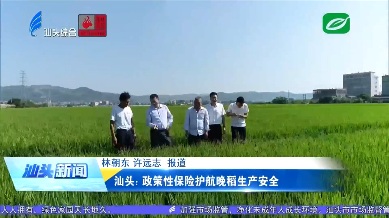 汕头：政策性保险护航晚稻生产安全