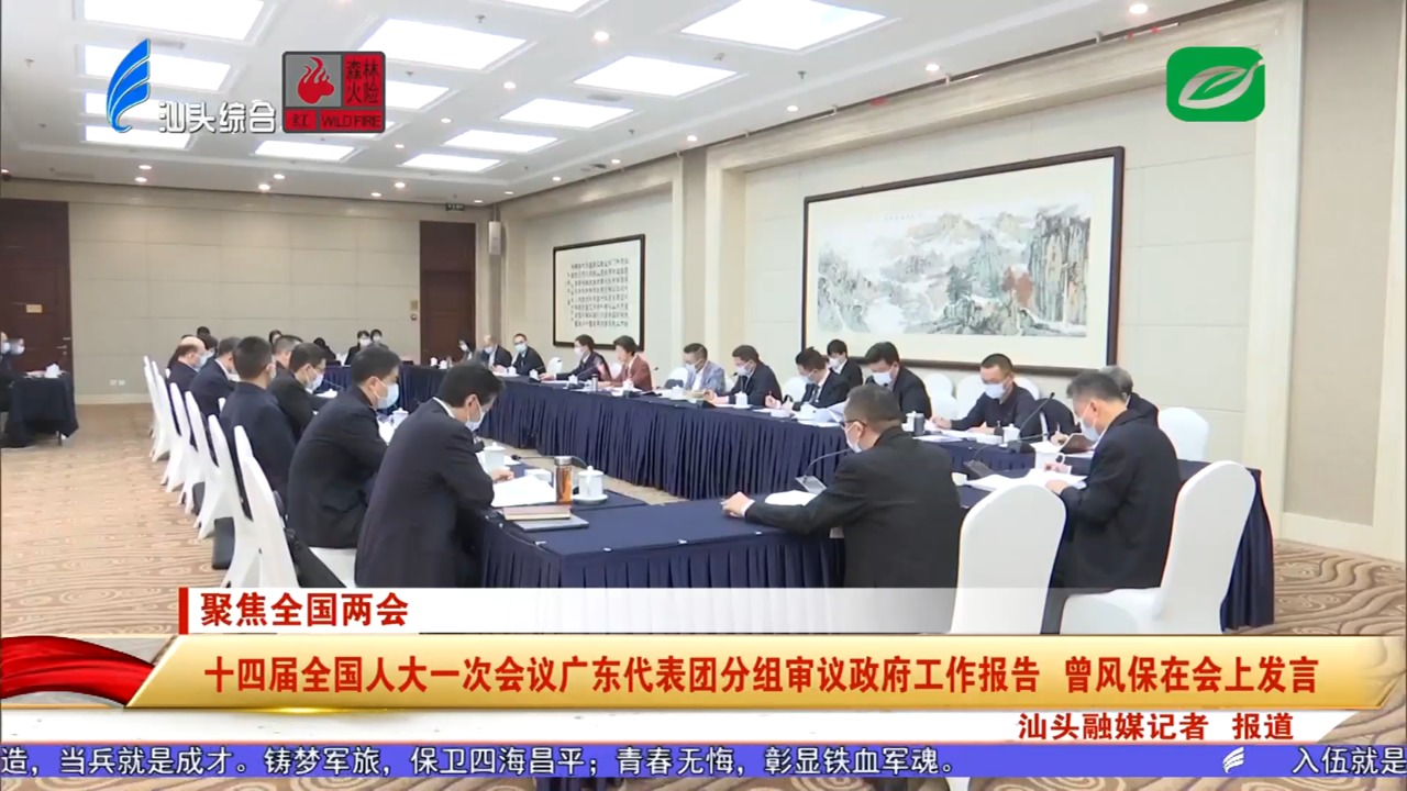 十四届全国人大一次会议广东代表团分组审议政府工作报告 曾风保在会上发言
