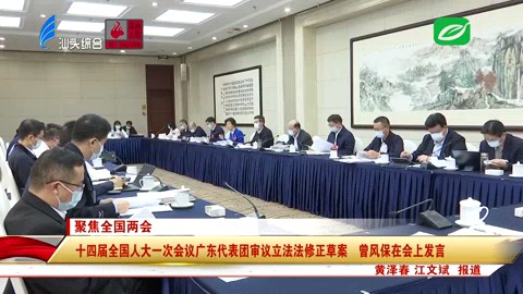 十四届全国人大一次会议广东代表团审议立法法修正草案 曾风保在会上发言